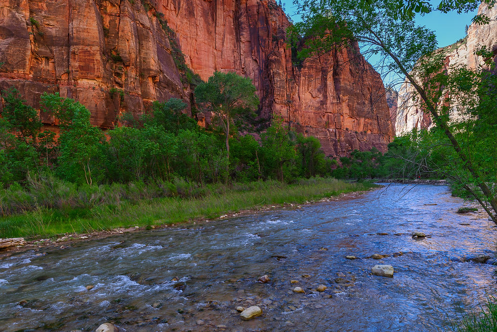A shallow river flows over stones between green trees and towering reddish cliffs.