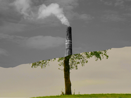 Between Building Business and The Thought for Climate Change