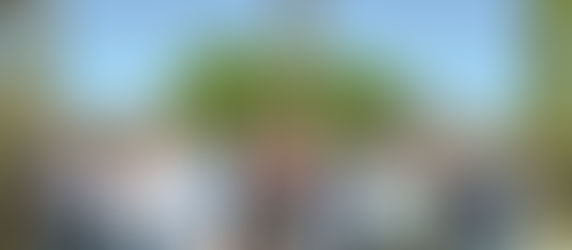 Concurso do Brasil 20 anos!