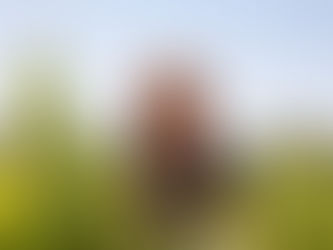 Mireia Torres Maczassek: a responsável pela recuperação de castas ancestrais na vinícola da Família