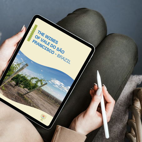 Vale do São Francisco lança e-book em inglês para projetar vinhos tropicais no cenário internacional 