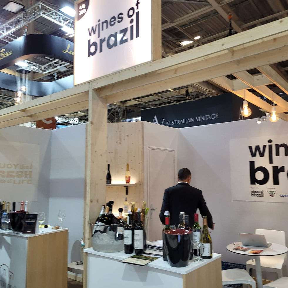 Estande das vinicolas Brasileira na WINE Paris , simples e funcional