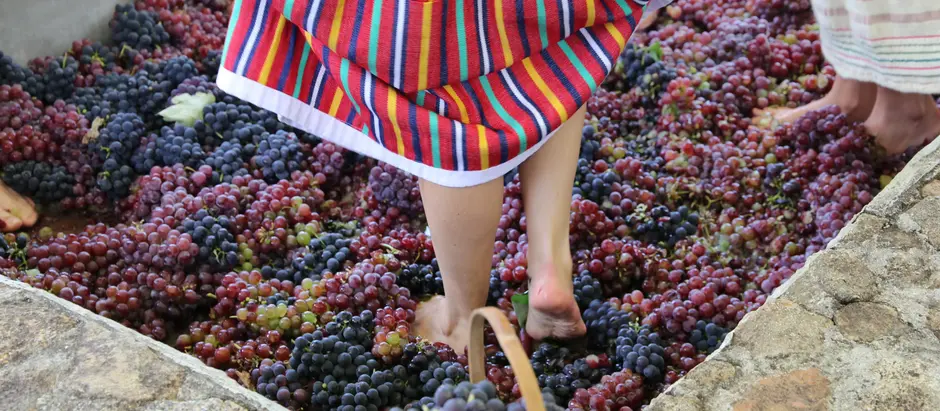 Quinta do Olivardo realiza 12ª edição da tradicional Pisa da Uva