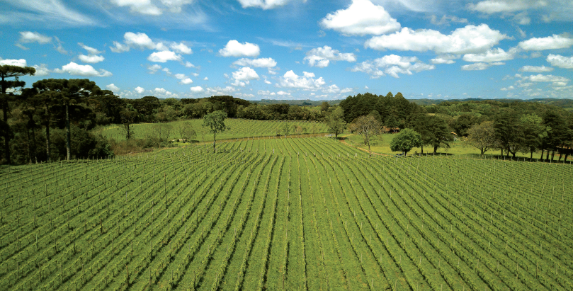 O Brasil que borbulha