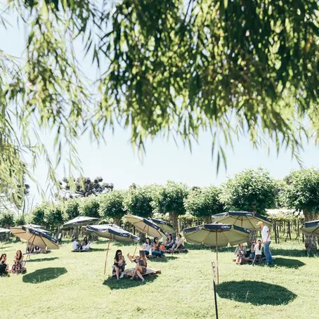 Despertar do Vale reúne mais de 30 estabelecimentos para celebrar a enogastronomia do Vale dos Vinhedos