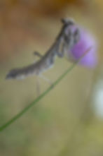 13-0987-0359_Dans l'attente