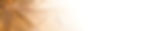 N_T_Home Page BG_edited_edited_edited.jpg