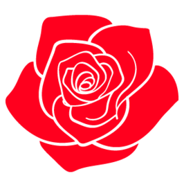 m_f_flower_rose310_edited_edited.png