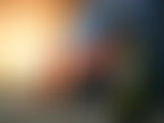 Por que contar com um bom despachante aduaneiro pode evitar riscos e prejuízos?