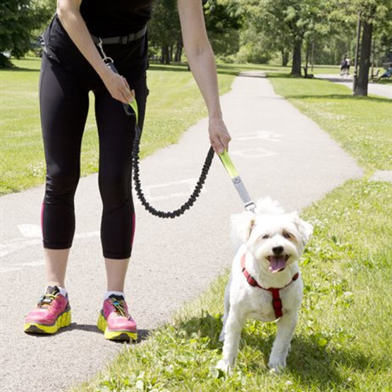 Hands Free Dog Leash Nuvatek
