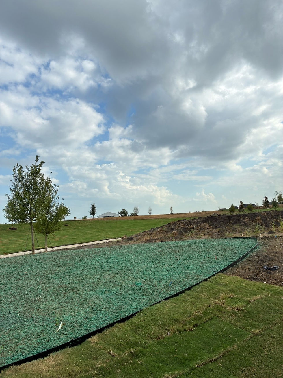 Our team added Weeping Love grass to a community in Celina, Texas
