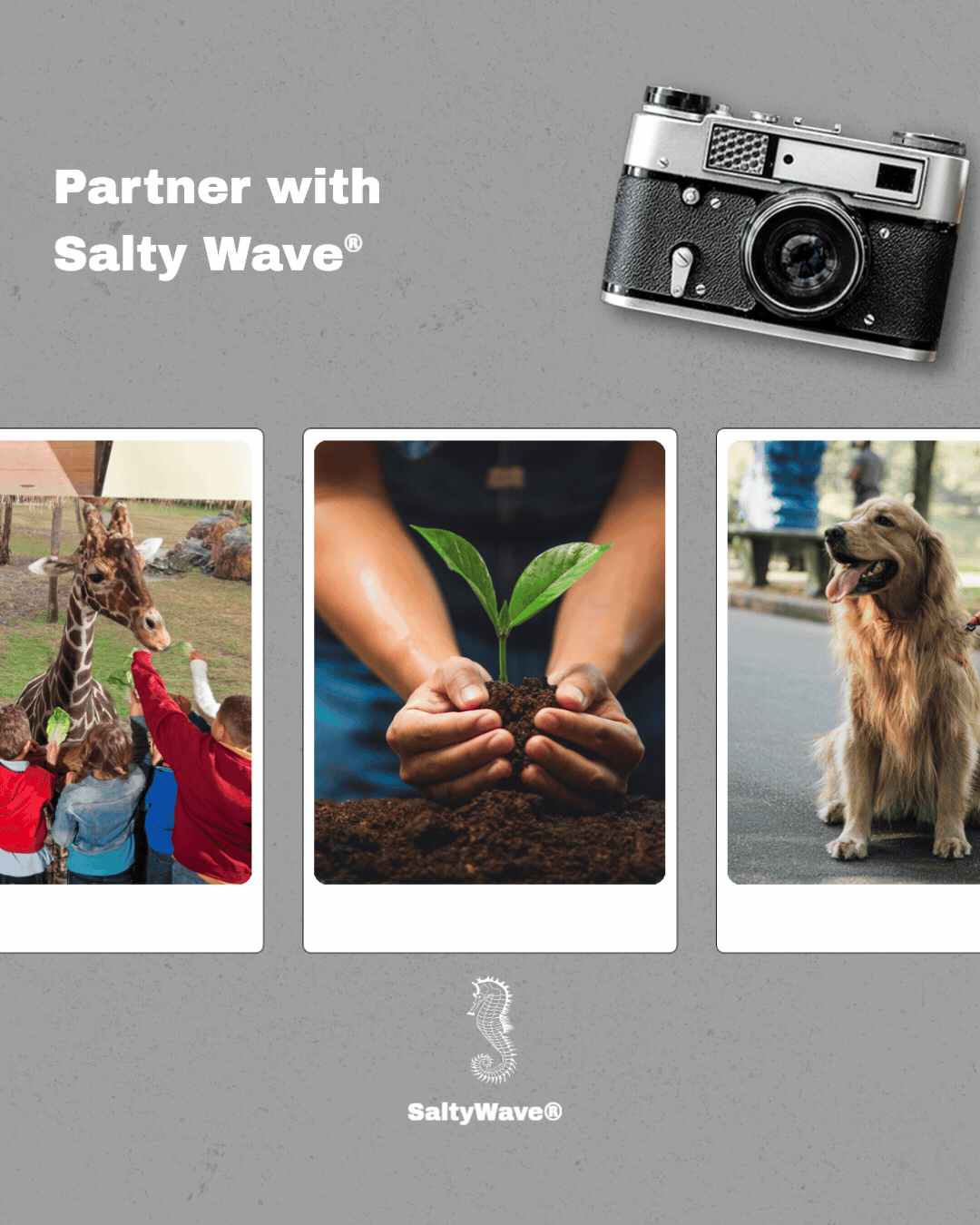 SaltyWavePartnerProgramNGOs 2026 (2).gif