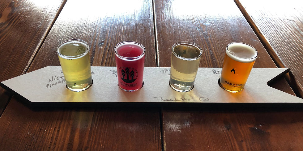 Crusin' For Booze- Wisconsin Wine Beer Distillery Blogger- Rocky Reef Brewing Co- Beer Flight