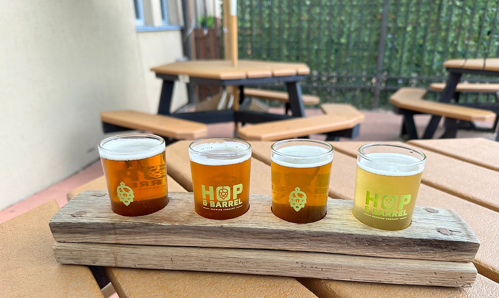 Crusin' For Booze- Wisconsin Beer Wine Distillery Blogger- Hop and Barrel Brewing