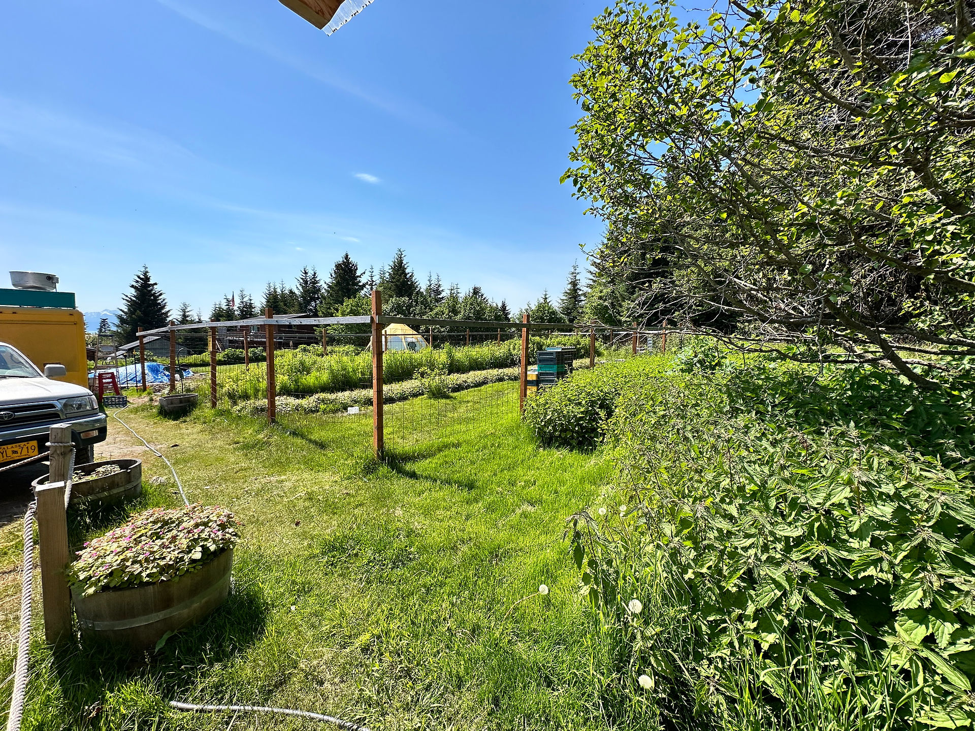 Crusin' For Booze- Wisconsin Beer Wine Distillery Blogger- Sweetgale Meadworks and Cider House- Garden view