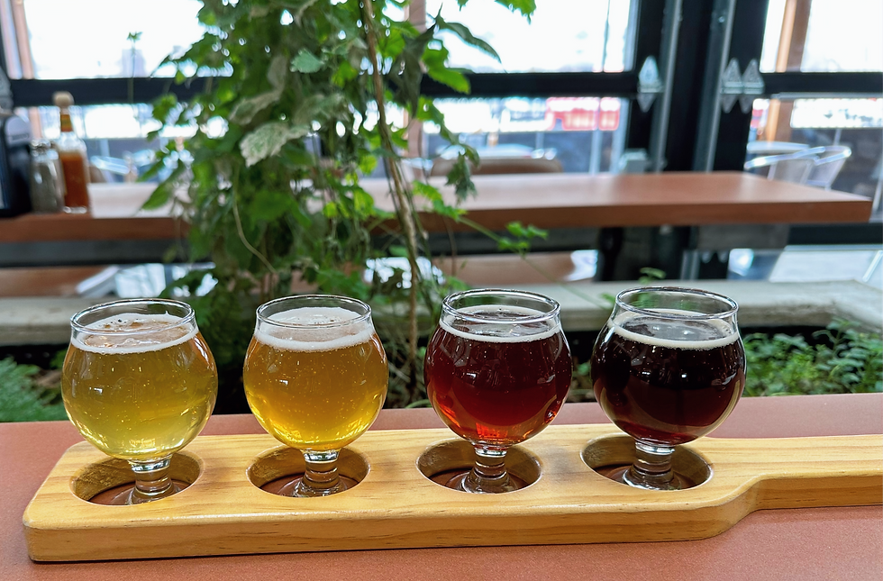 Crusin' For Booze- Wisconsin Beer Blogger- Bodihow Brewpub- Beer Flight