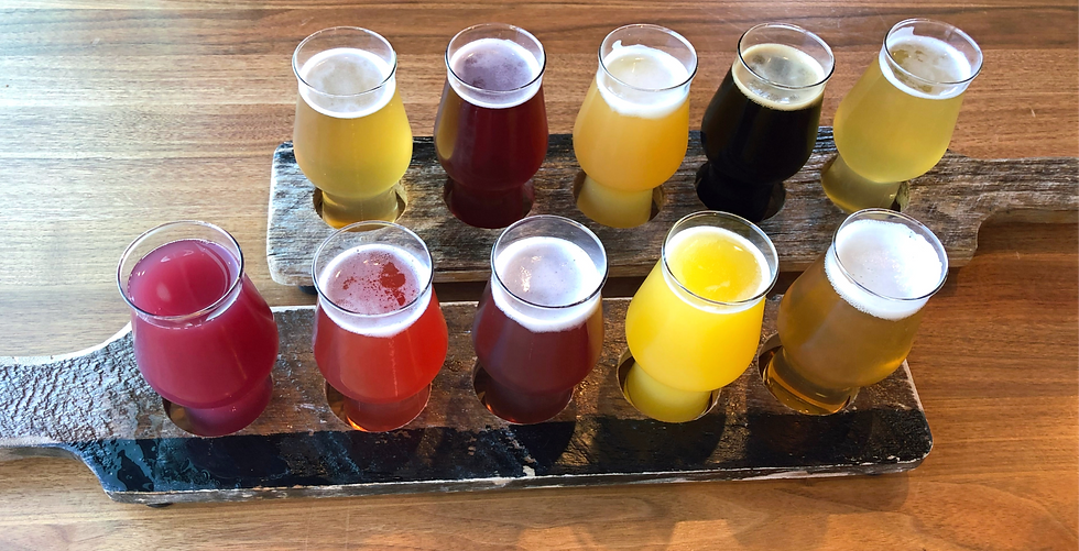 Crusin' For Booze- Wisconsin Travel Blogger- G5 Brewing- Beer Flight