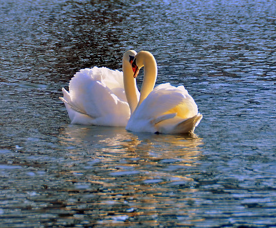 DSC_9200.JPG