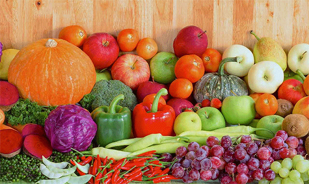 BOTANICA-Healthy-Foods.gif