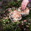 Thumbnail: The Den Kit Company Make a Pizza for the Birds Kit
