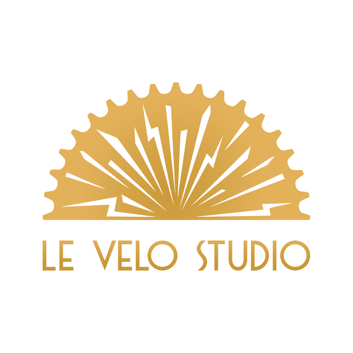 Le Velo Studio logo