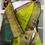 Miniaturbild: Pure Silkcotton Saree