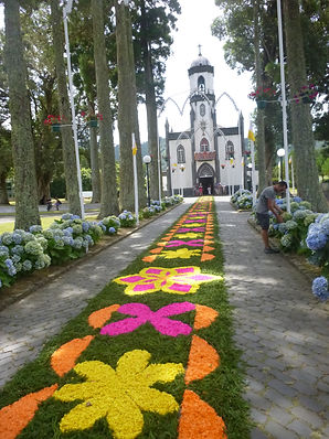 P1020385.JPG