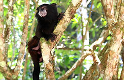 Untitled design (6)_edited.jpg