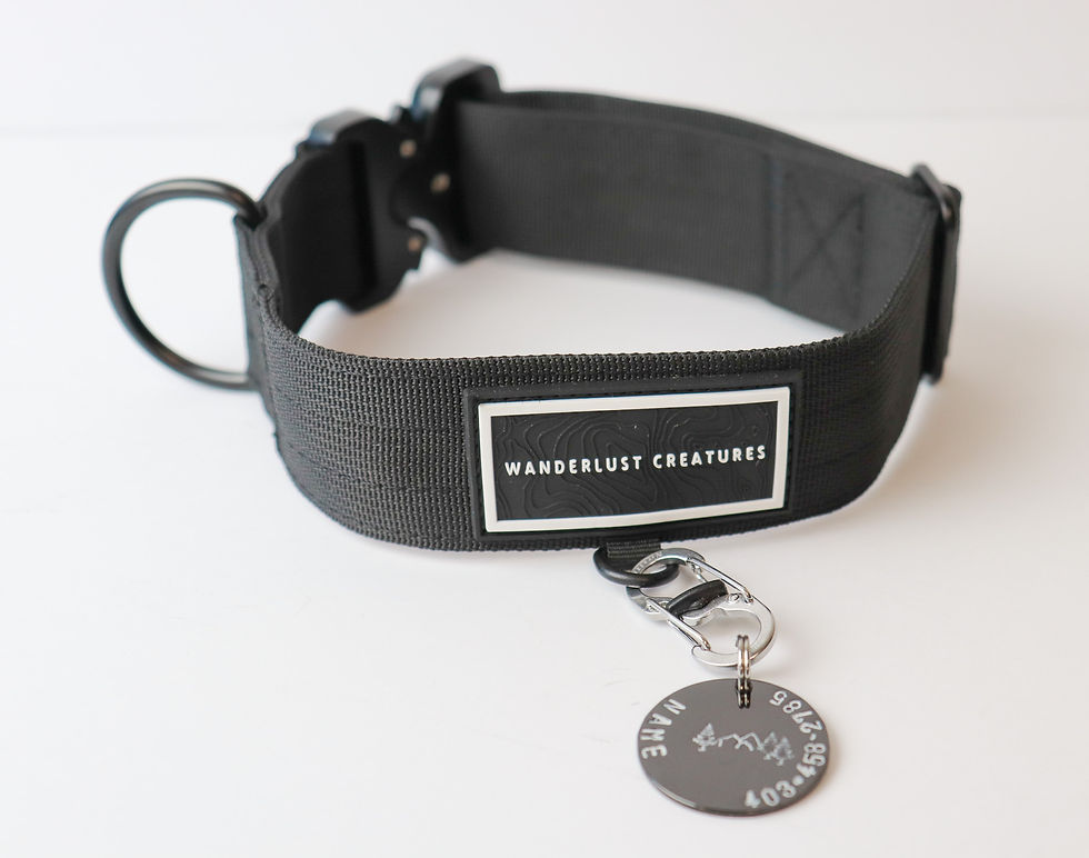 Thumbnail: ONYX EXPEDITION COLLAR