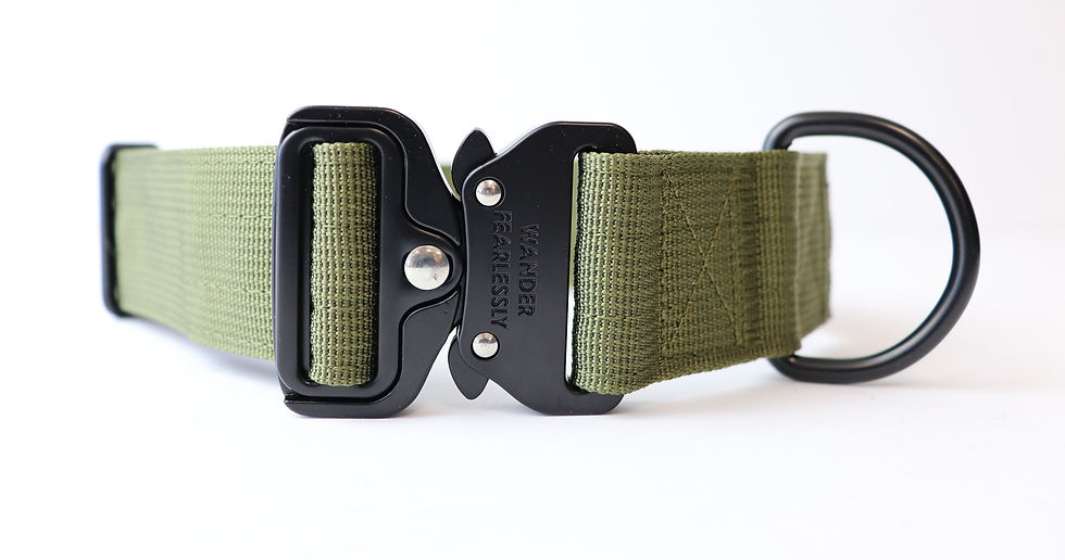 Thumbnail: JUNIPER EXPEDITION COLLAR