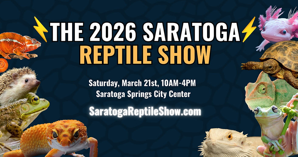 The Saratoga Reptile Show