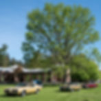 Muscle Cars at the Museum