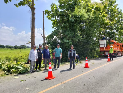 ดำเนินการตัดแต่งกิ่งไม้ถนนสายหลัก ปรับภูมิทัศน์และทัศนียภาพทางสายตาในการสัญจรไปมา