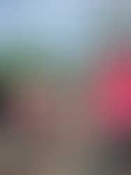 พนักงานกองช่าง ช่วยกันรื้อท่อประปาภูเขา ท่อเหล็กขนาด 3 นิ้ว ออกจากฮ่อมปันนางถึงสามแยกจำบอน