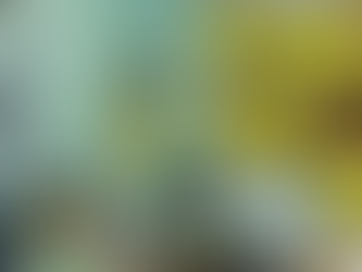 ประชุมคณะกรรมการบริหารกองทุนหลักประกันสุขภาพเทศบาลตำบลบ้านสาง ครั้งที่ 3/2567