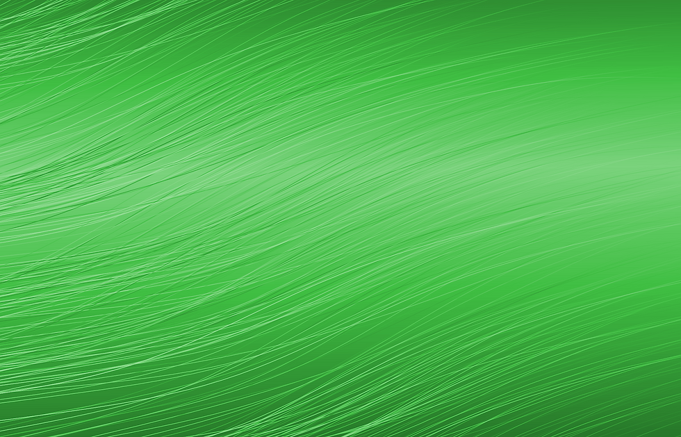 green-370121_1920 (2).png