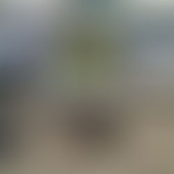 TOP 10 THINGS TO DO THE WEEK BEFORE LOST LANDS 2025 // CHECKLIST