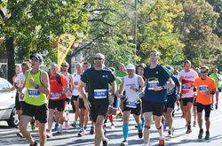 Maraton Warszawski (327)