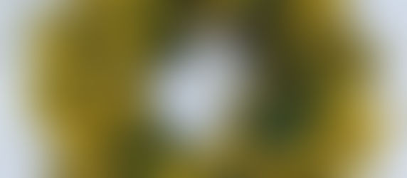 イベントレッスン春のミモザリース作り