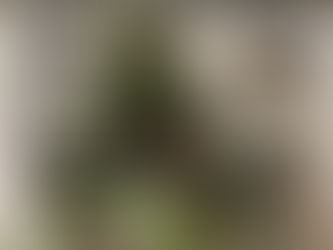 秋のボタニカル