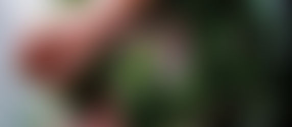 クリスマスリースレッスン始まりました!