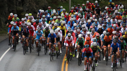 Pedalar para proteger o cérebro: novo estudo com quase 500 mil pessoas revela forte ligação entre ciclismo e menor risco de demência