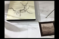 "Murmuration" Variation III, install 7