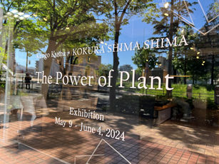 建築家 隈 研吾 × 小倉 縞縞「KUMASHIMA」九州初POP UP本日スタート|小倉 縞縞 本店 2024年5月9日-6月4日