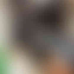 WhatsApp Image 2024-04-19 at 18.48.45