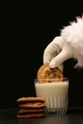 LEAVE THE COOKIES OUT FOR SANTA - PART TWO