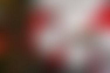 LEAVE THE COOKIES OUT FOR SANTA - PART THREE