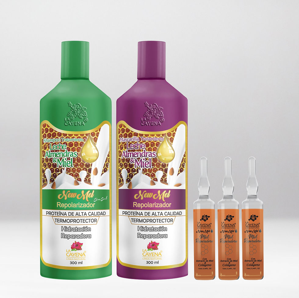 Kit 1 Repolarizador Newmel