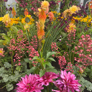 Show Garden, Garden Design, Landscape Design, Landscaping
