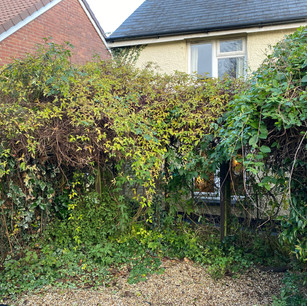 Before, Garden Design, Landscape Design, Landscaping, Block Paving, Patio, Turf, Fencing